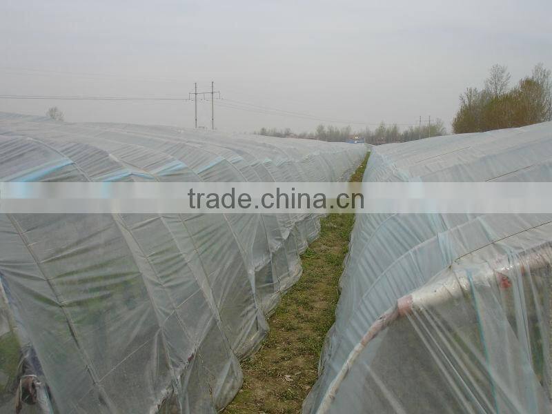 UV protect anti fog Transparent Co extruded PE Cover Film PE mulch film for watermelon greenhouse