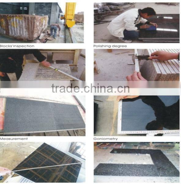 pink granite G564 rosa porrino step nosing granite