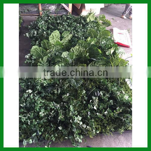 Artificial Plastic Green Wall
