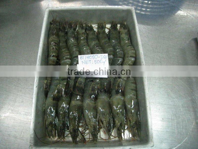 Frozen Black Tiger HOSO