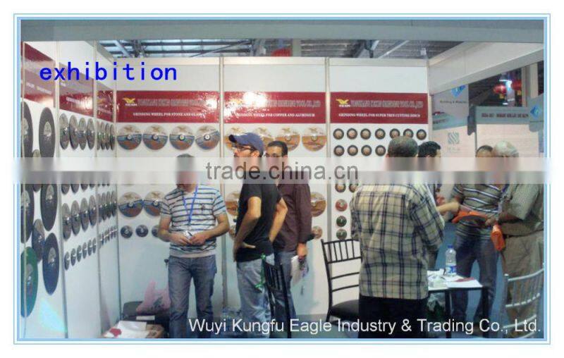 100*6*16mm green silicon carbide grinding wheel for metal