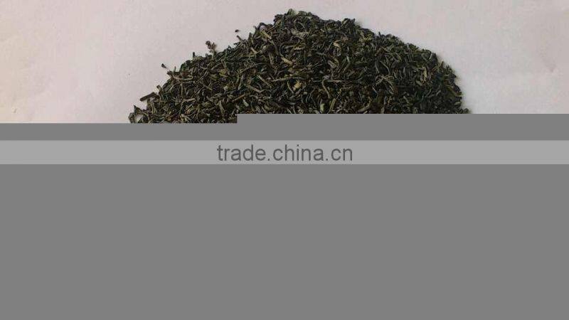 Green Tea Chunmee 41022AA, 41022AAA, 41022AAAA