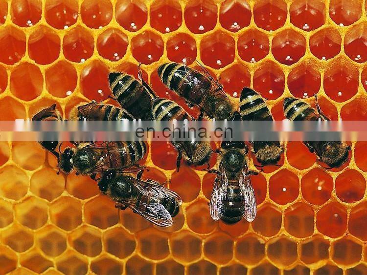 0.5/day honey purify machine/ honey extractor machine for sale