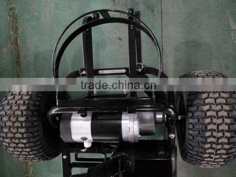 2014 New Hot sale Single Seat Golf Car 413G-2