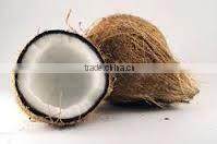 Fresh matured coconut supplier