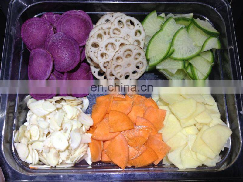 Japan imported multifunctional DM-91D julienne Robo