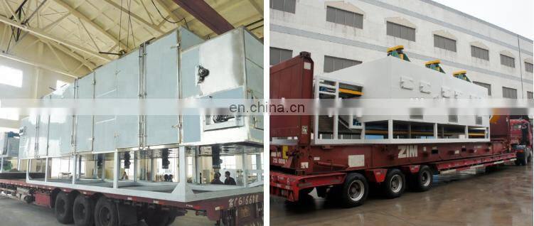 Hot Sale Continuous DW Mesh Belt Dryer For Fruit Apple