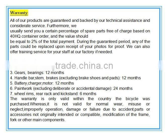 fashion electric bicycle,electric bicycle conversion kit,cheap electric bicycle kit