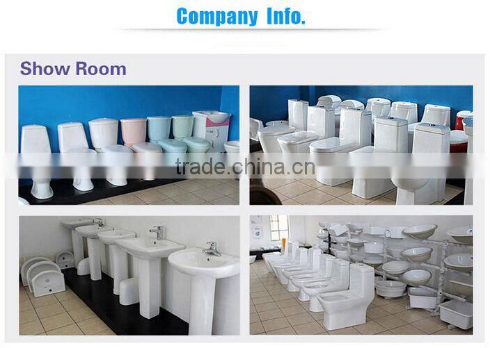 color ceramic squat toilet dual flush