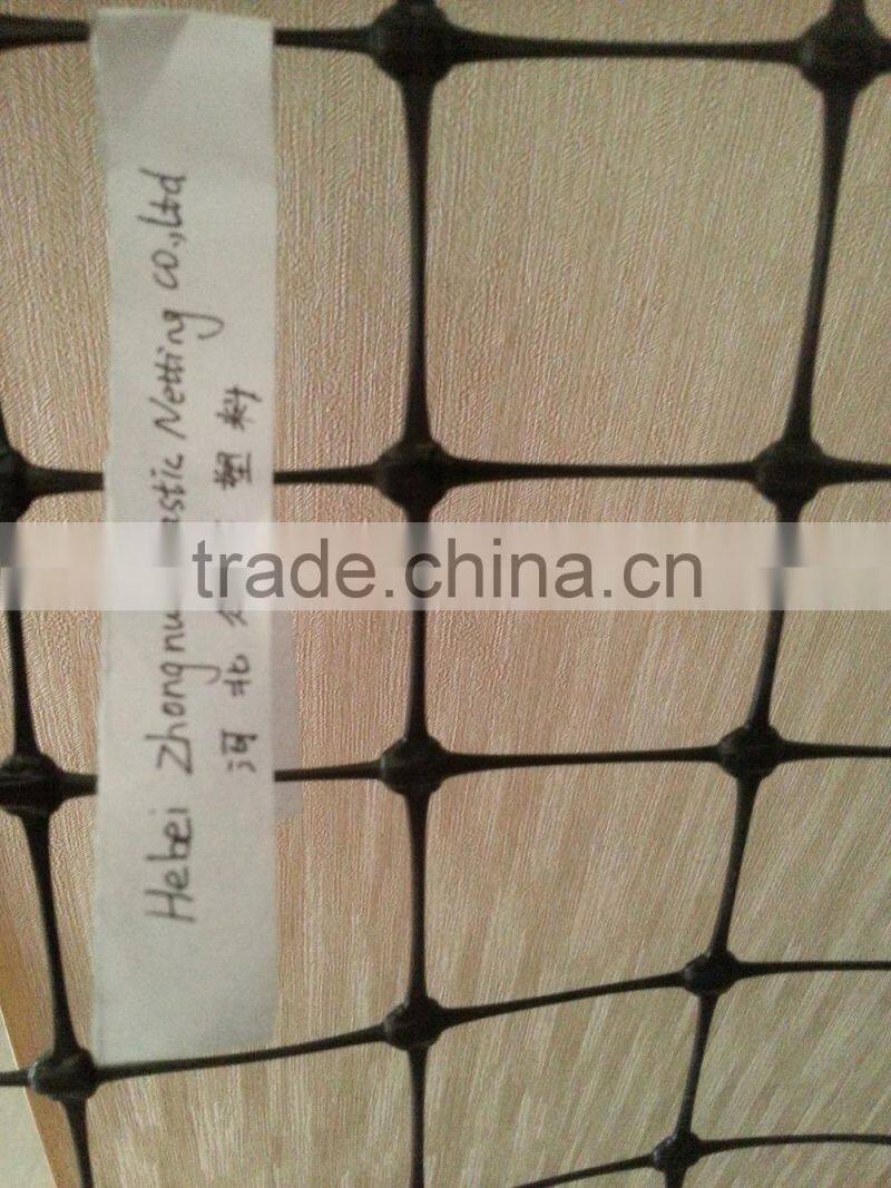 Plastic Square and stretched netting in 100g/sqm