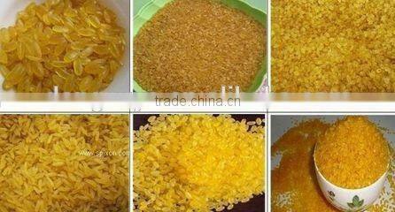 Hot Sale DXY Nutritional Rice Processing making Line