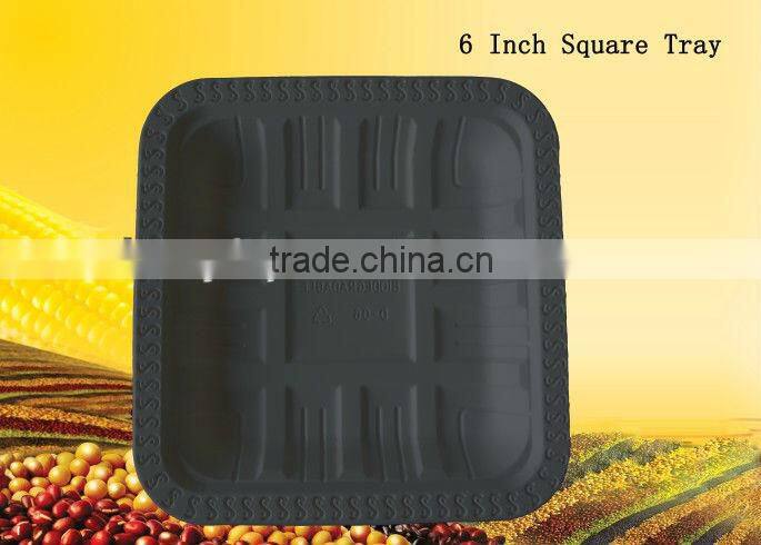 biodegradable disposable eco-friendly 9 inch square food trays
