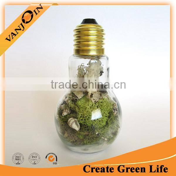 Clear Bulb Shaped 200ml Decoration Glass Bottle Household