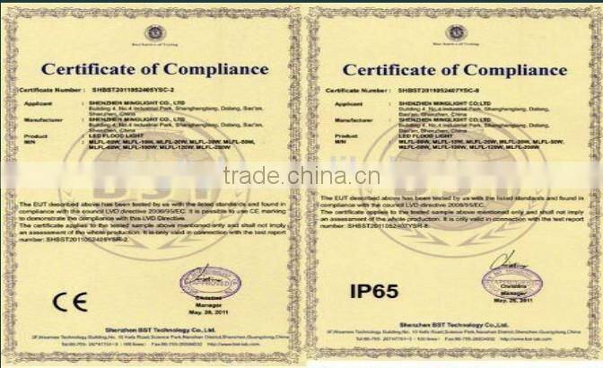 Waterproof IP65 led cordless portable 30W Recharge led Flood Lights with CE RoHS certificates