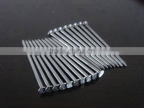 Electro Galvanized Common Round Iron Nails