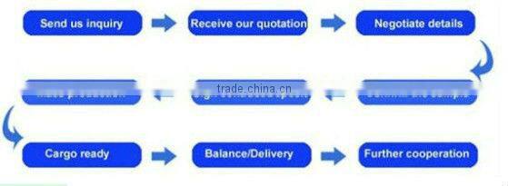 Ladies Fine Scoop neckline Stripe T shirt