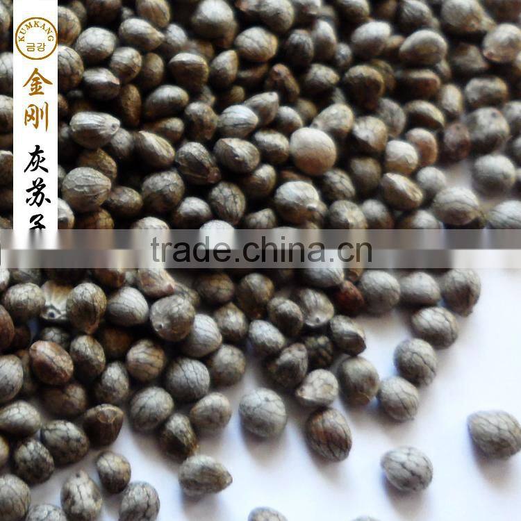 perilla seed for sale
