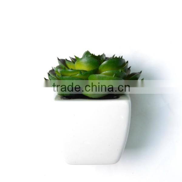 Artificial Echeveria Succulent Desk Top Plant in Pot