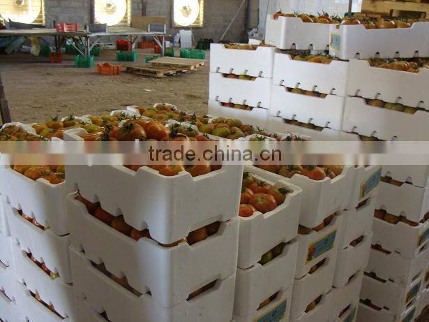 Factory Price EPS mold for grape box