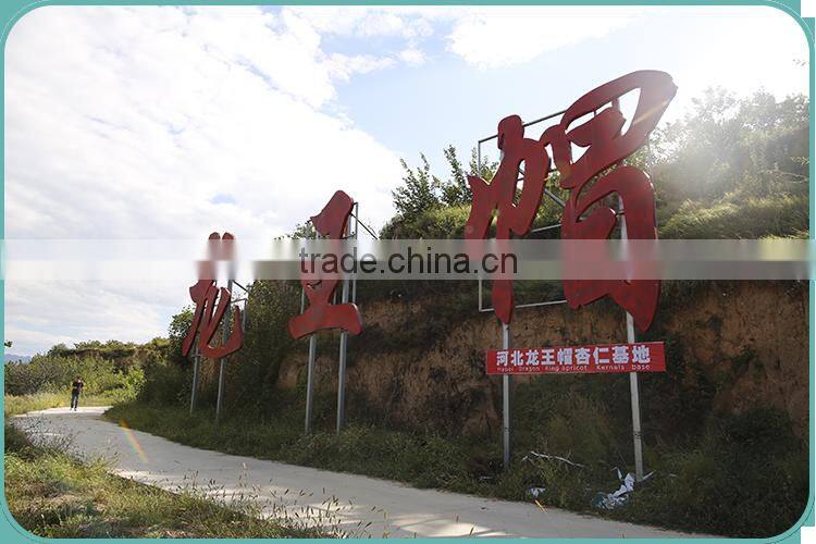 Debittered and sweet apricot kernel powder, bulk supply apricot kernel flour