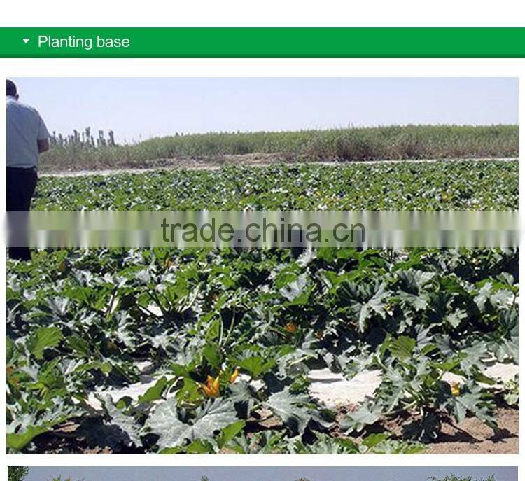 edible red water melon seeds big size