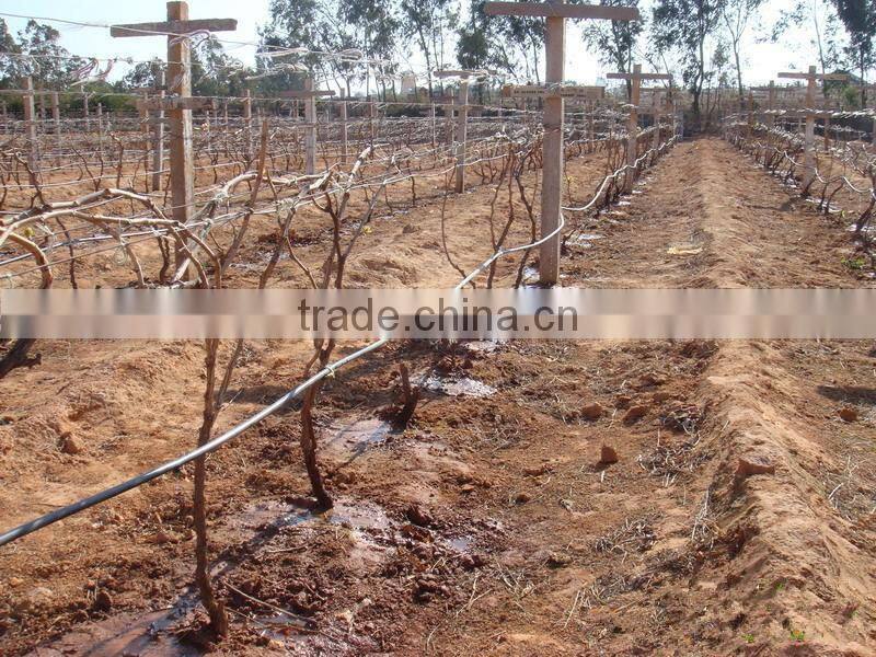 hot selling agriculture farm land drip irrigation hose