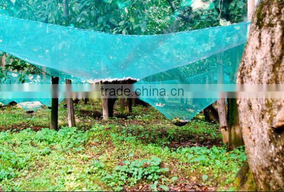 hot selling black olive net