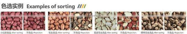 CMEC Peanut Color Sorting Machine
