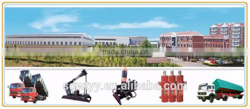 hydraulic cylinder seals