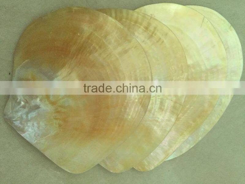 Polished whitelip mother of pearl shell inlay