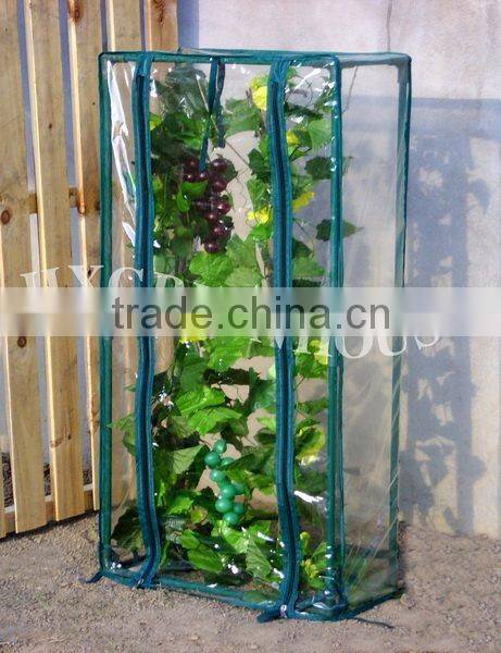 Planting Tomatos in the tomato Greenhouse