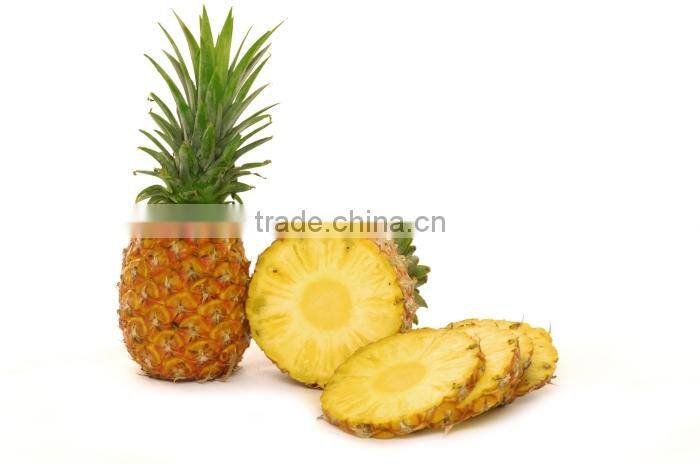 New design microwave vacuum dryer for pineapple slice