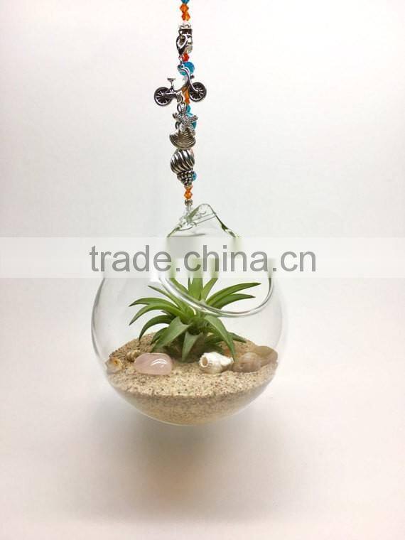 Hanging Glass orb ball Terrarium Ornaments