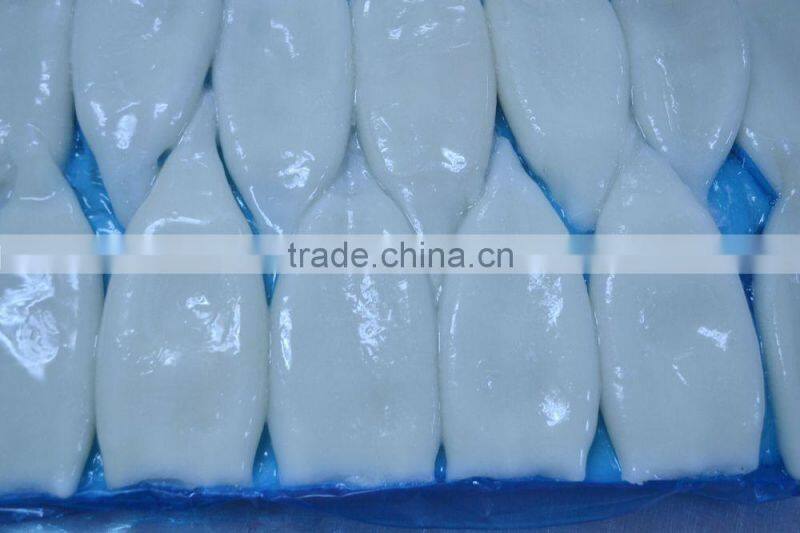 Wholesale Frozen Seafood Squid Tube