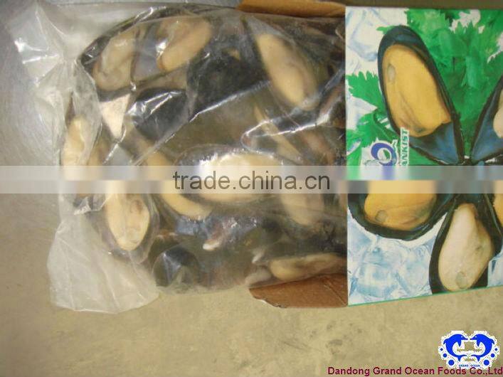 IQF chair de moules avec demi coque