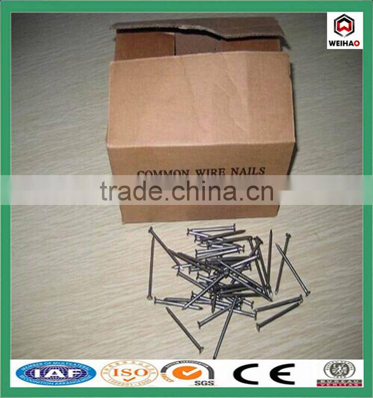 all kinds of size Common Nail supplier in China