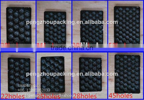 Factory Directly Eco-friendly Colorful PP Plastic Thermal Food Container