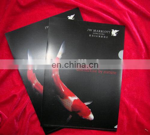 Fashional Factory Price Colored Plastic Folders for Document