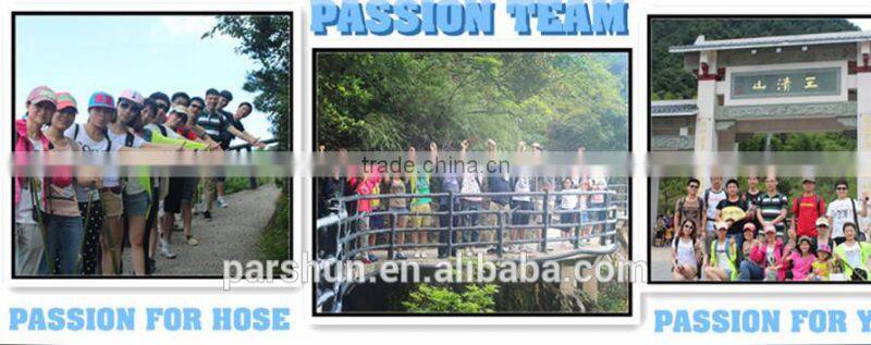 Truck/Car/Forklift High Performance Custom Radiator Hose Pipes