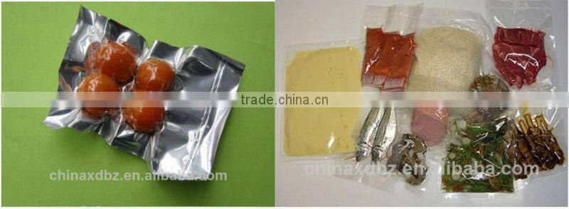 DZ-500 Vacuum Packaging Machine