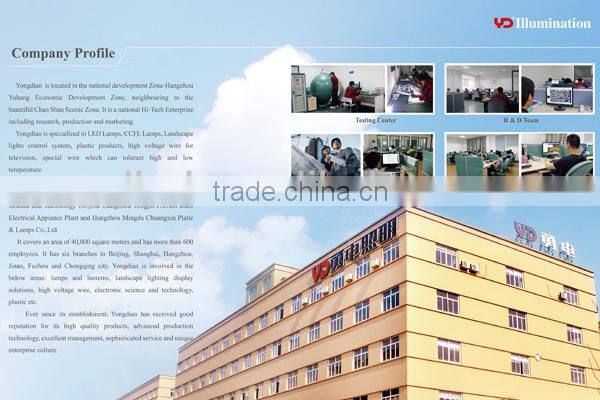 IP68 V-0 high quality wall washer light