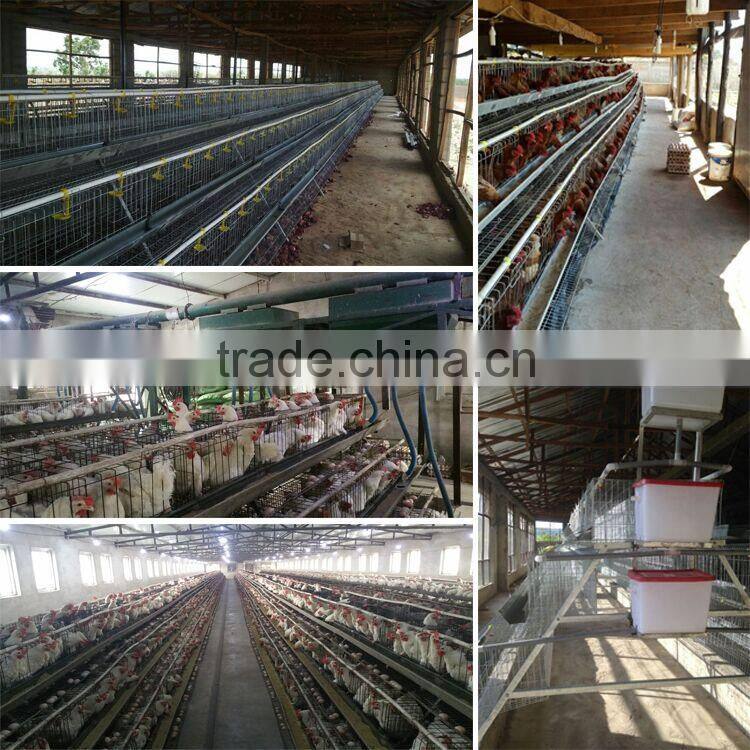 China factory commercial chicken use automatic hen layer cage for chickens