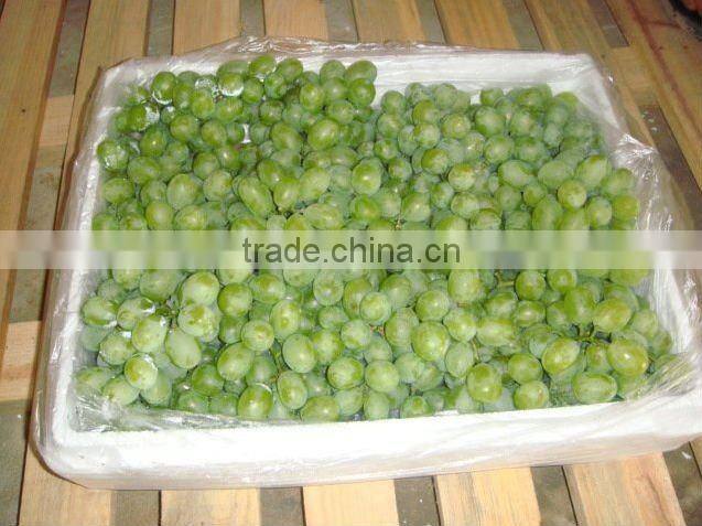 2012 crop green victoria grape