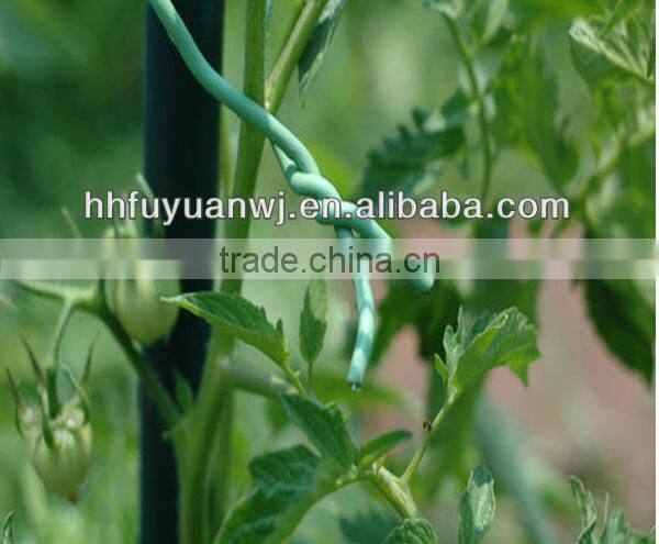 low price Galvanized or powder coated tomato spiral plant support factory in China