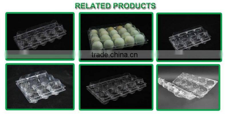 Good quality disposable blister plastic eggs tray with cheap price