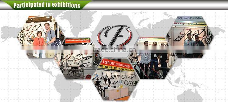 2016 Dengfu Carbon Time Trial Bike Frame FM087 with Cheap Price