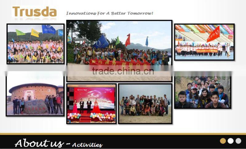 Fully Protected 2 USB Ports Smart Fast Charge USB Travel Charger With CB PSE 3C