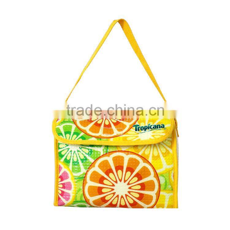 insulated cooler bag, plastic cooler bag