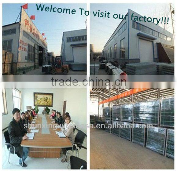 straight Strain Barbed wire