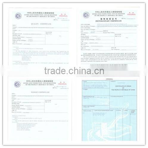 2016- New crop roasted Buckwheat kernel